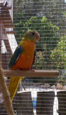 2012-09-19_11-33-06_613 copy.jpg