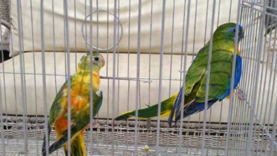 2012-09-19_11-26-26_175 copy.jpg