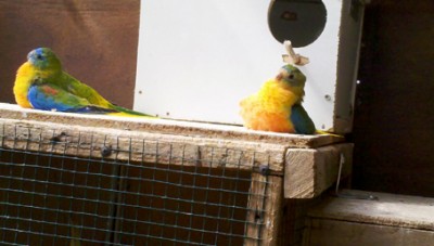 2012-09-27_10-06-52_540 copy.jpg