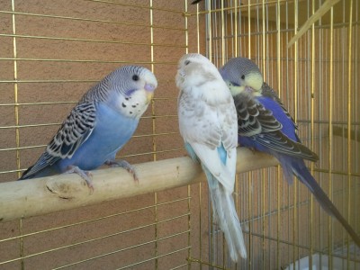 Photo018 (Large).jpg