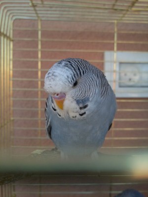 Photo017 (Large).jpg