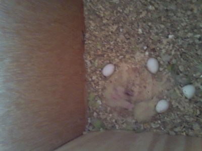 Photo026 (Large).jpg