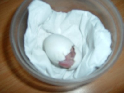 חצי דרך עשיתי