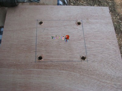 Copy of Picture 040.jpg