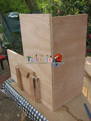 Copy of Picture 063.jpg