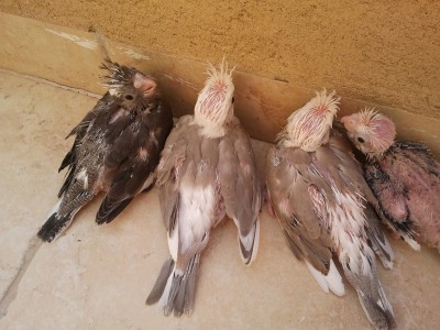 2012-11-02 14.19.07.jpg