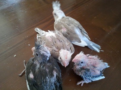 2012-11-02 14.20.07.jpg