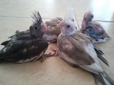 2012-11-02 14.21.08.jpg