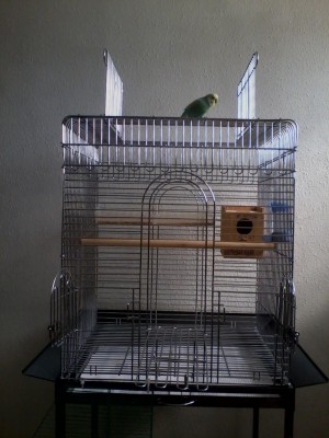 ריצ'י עכשיו בתא :)