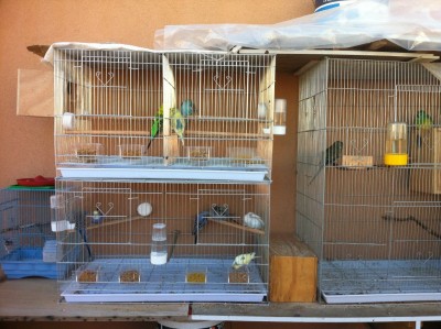 IMG_1345 (Medium).JPG