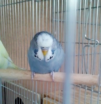 Photo055 (Large).jpg