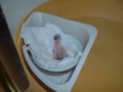 אני בחוץ אחים שלי.JPG