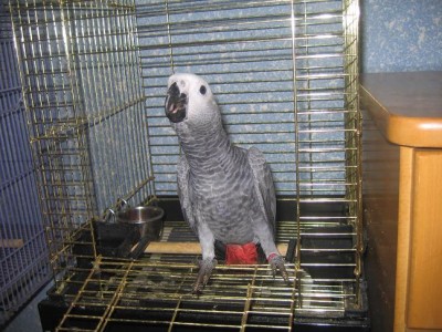 2006911_1739615279_1[1].jpg