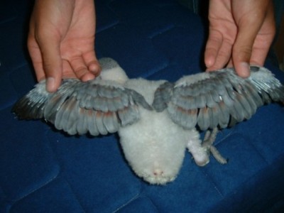 משפחתי אצלנו.JPG