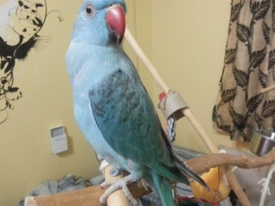 עכשיו_640x480 (3).jpg