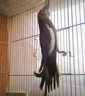 Photo105 - עותק (Large).jpg