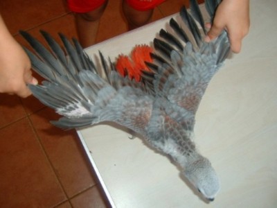 לב לצבע לא כולם כמוני.JPG