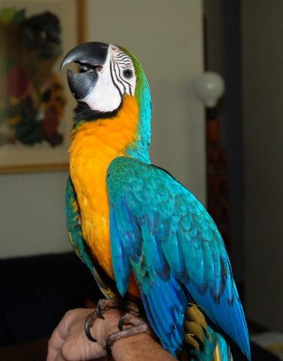 נכון שאני יפה????