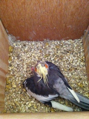 IMG_1476 (Medium).JPG