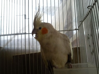 Photo156 (Medium).jpg