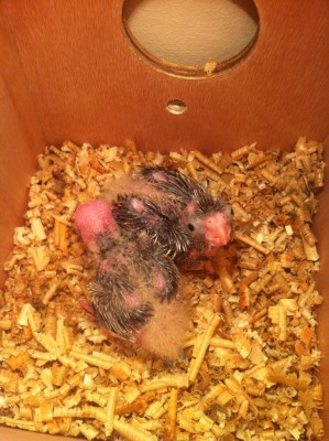 IMG_1503 (Medium).JPG