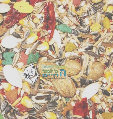 תערובת זרעים לתוכים