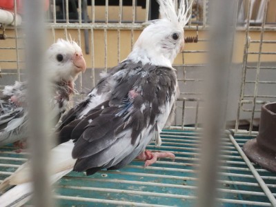 2013-02-24 08.28.45.jpg