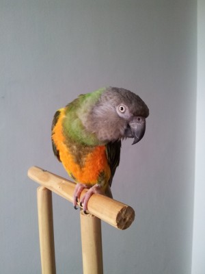 20120228_135545.jpg