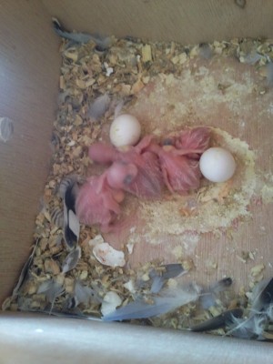 Photo027 (Large).jpg