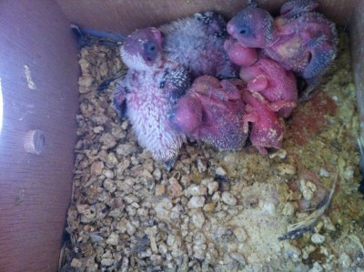 IMG_1759 (Medium).JPG