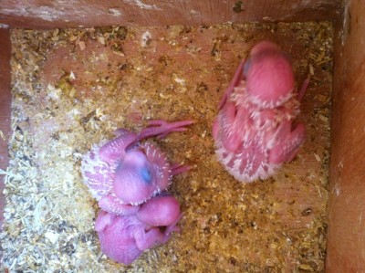 IMG_1761 (Medium).JPG