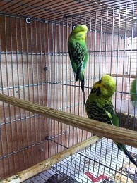 IMG_0075.JPG
