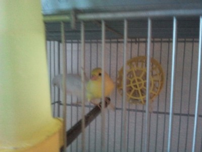 2013-03-17 22.23.07.jpg