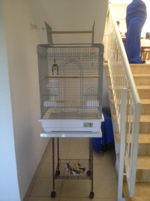 הכלוב החדש ממוקם בבית