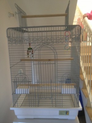 הכלוב החדש ממוקם בבית