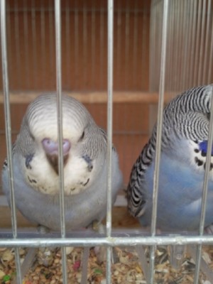 Photo044 (Large).jpg