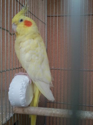 Photo043 (Large).jpg