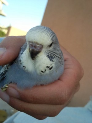 Photo056 (Large).jpg