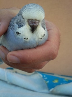 Photo057 (Large).jpg