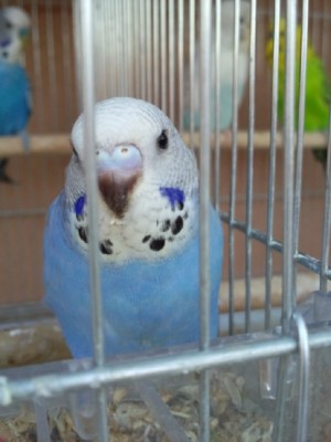 Photo051 (Large).jpg