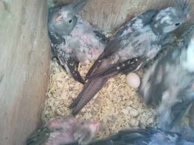 2013-04-09 18.12.27.jpg