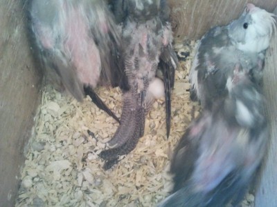 2013-04-09 18.11.24.jpg