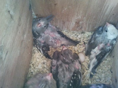 2013-04-09 18.12.13.jpg