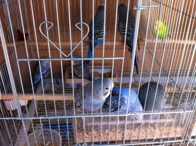 IMG_1993 (Medium).JPG