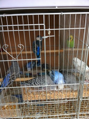 IMG_1996 (Medium).JPG