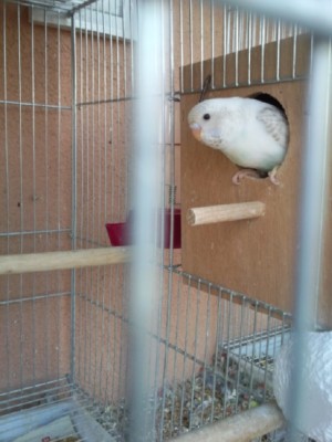 Photo054 (Large).jpg