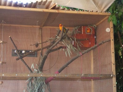 תא הטלה של פימה<br />מספר 1