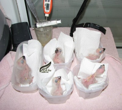 Picture 001.jpg