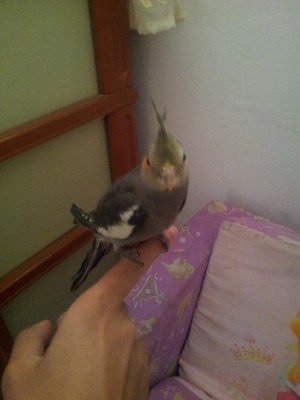 1תמונה מוקטנת.jpg