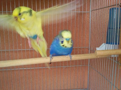 Photo018 (Medium).jpg